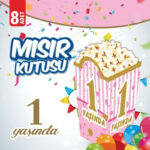 Mısır Kutusu 1 Yaş Pembe 8 Li
