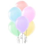Toptan Makaron Renkli Balon 12 İnc